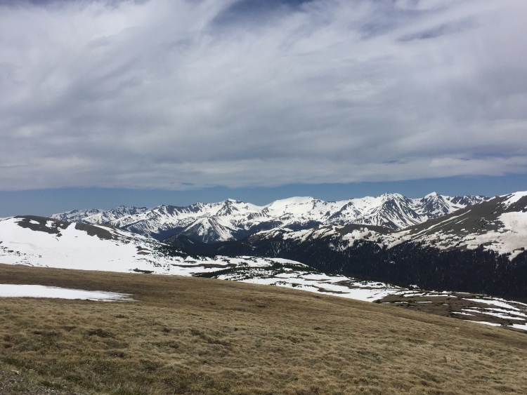 IMG_8061