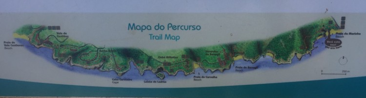 IMG_0011 (2)